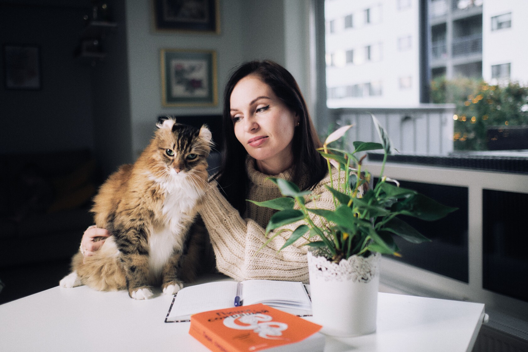 Persoonibrandi fotograafia kass aitab plaanida loovpaeva laual