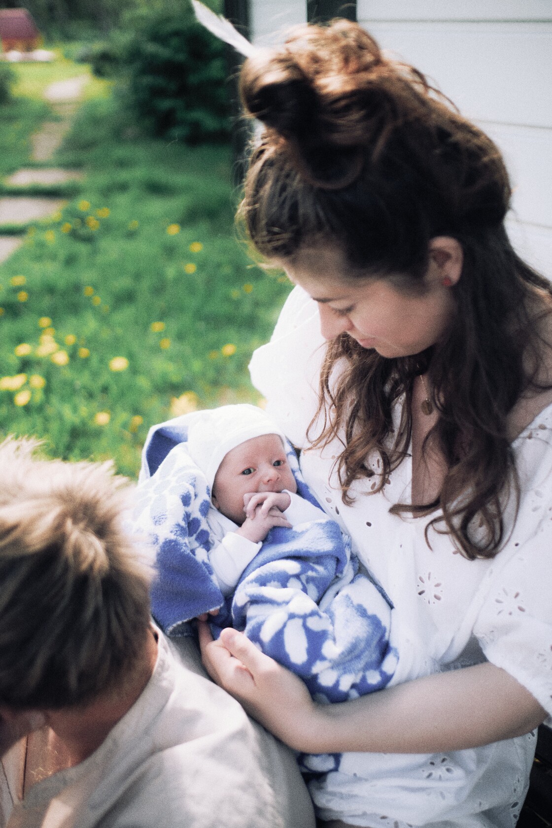 Peresessioon vastsundinu sinemustris tekk arksa tita umber