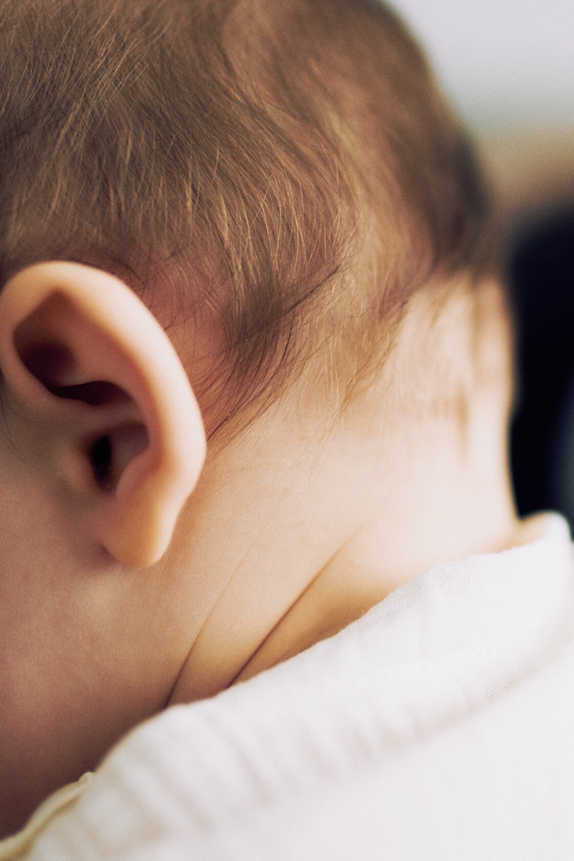 Perepildistamine peresessioon pehme juuksepiir korv ja kukal