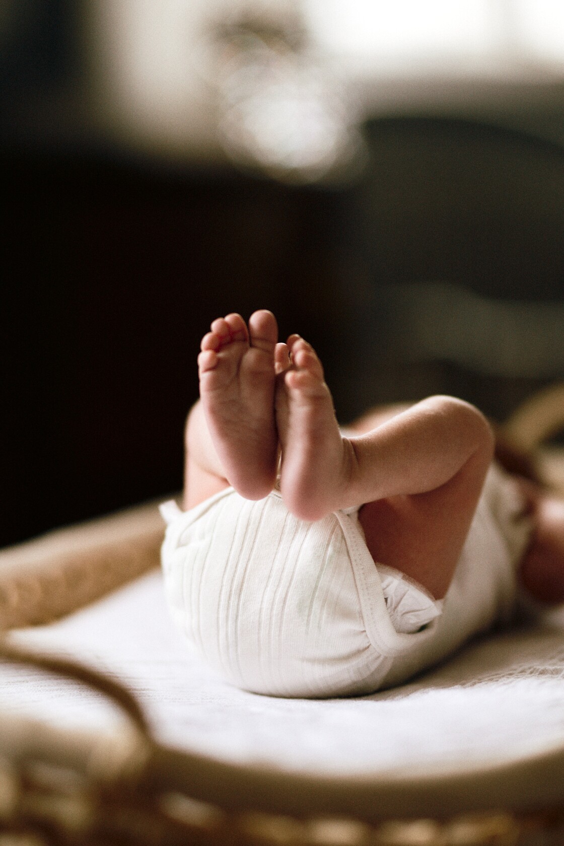 Vastsundinu pildistamine beebifotod vaikesed varbad punutud pesal