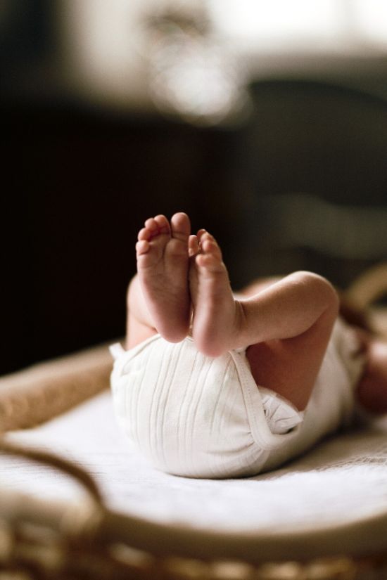 Vastsundinu pildistamine beebifotod vaikesed varbad punutud pesal yugaphoto